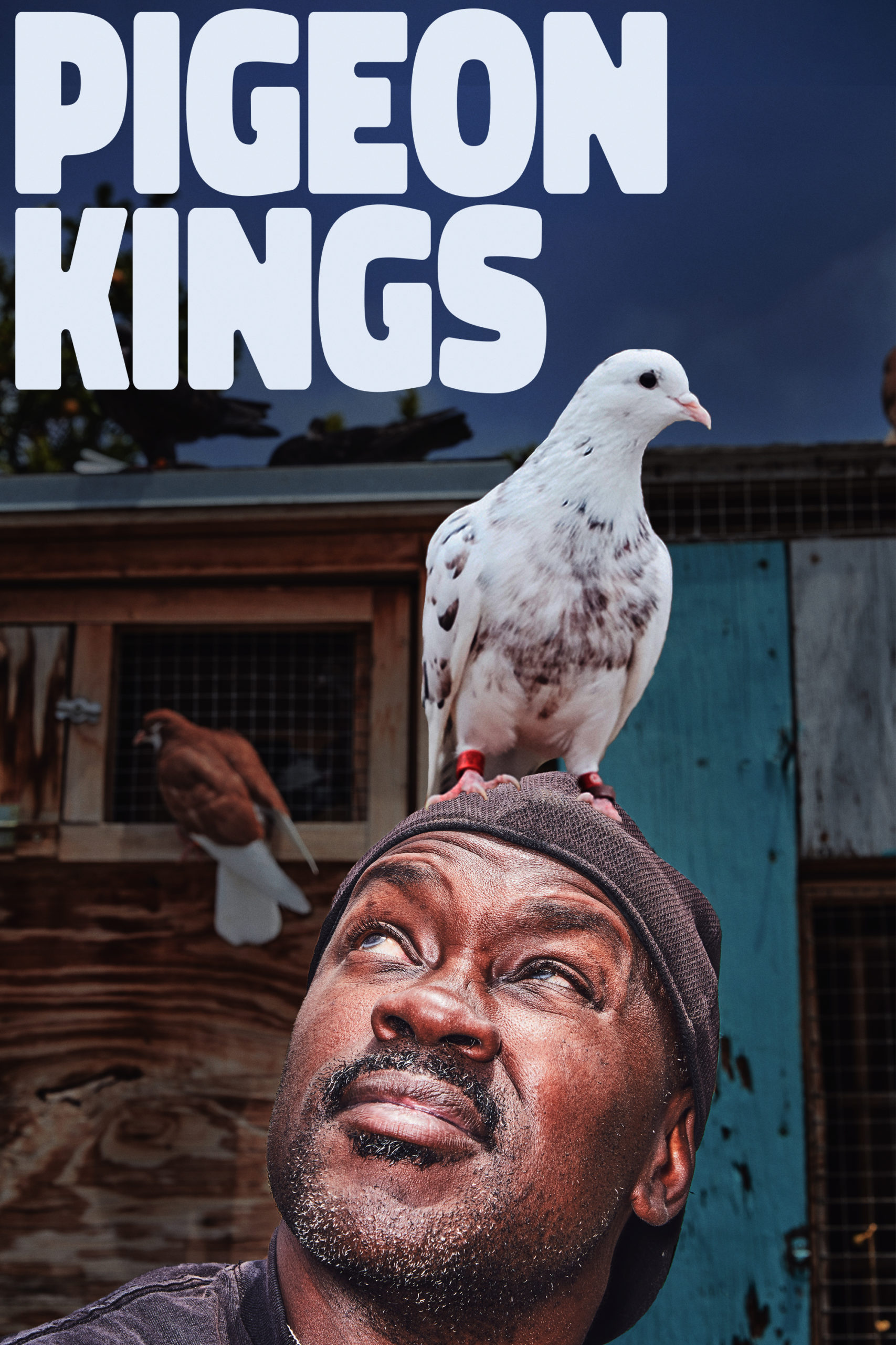 Pigeon Kings (2020)