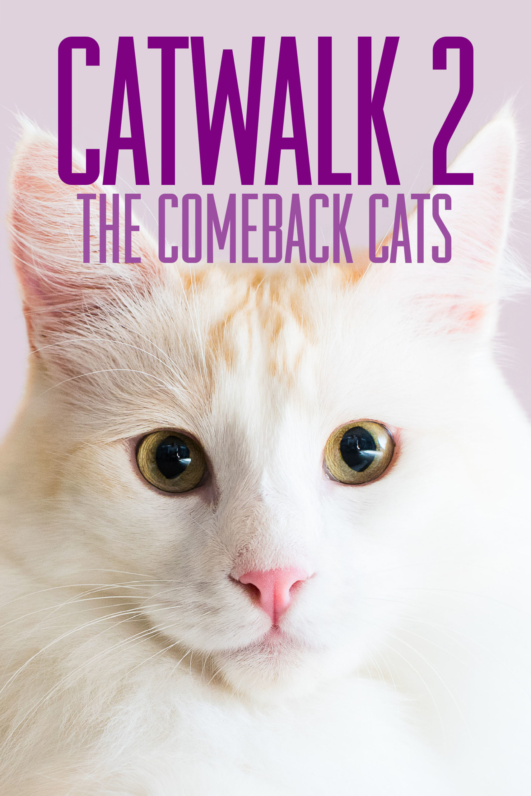 Catwalk 2 - The Comeback Cat