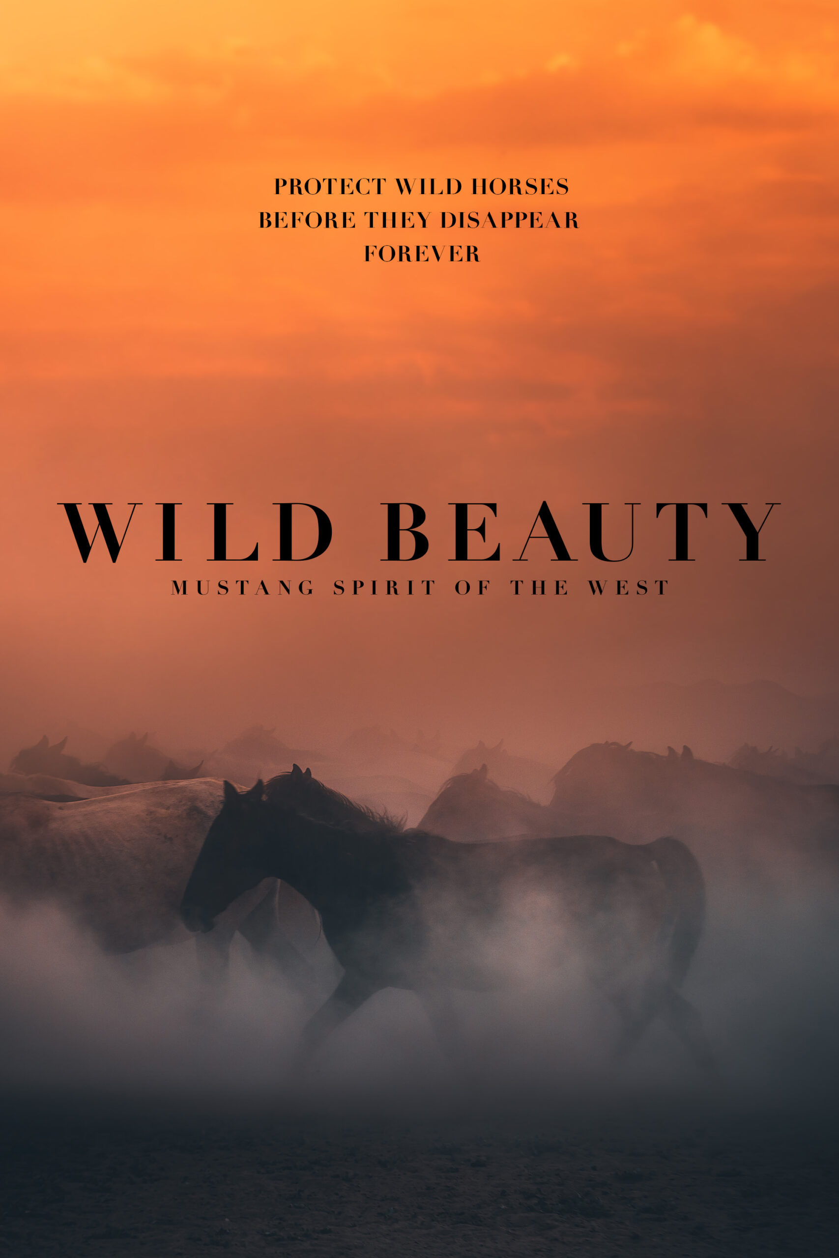 Wild Beauty Mustang Spirit of the West