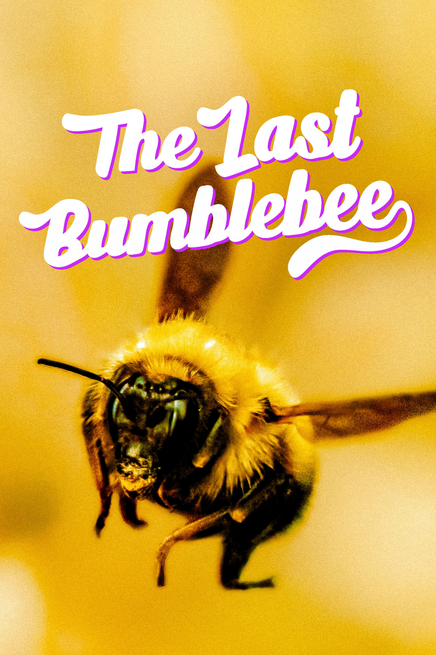 The Last Bumblebee